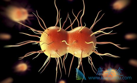 丙肝早期症状;丙肝需要治疗吗 丙肝早期症状;丙肝需要治疗吗