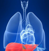 ͨ���Ҹ����԰���ձ����Բ���Ҹβ�����