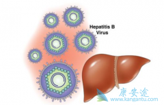 �Ҹ����԰���ձ���ô�����Ҹα��濹��������ʲô��˼��