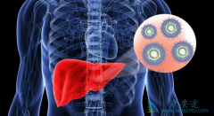 �Ҹ���Чҩ���������Ҹβ�����