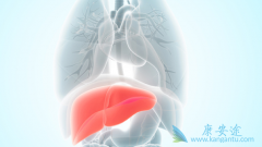 �Ҹβ���Я���ߴ�Ⱦ���Ҹβ���Я������Ҫ����Щ��飿