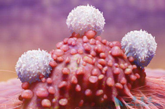 �������ٰ�������Ҫ��������֢��