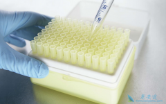 �Ҹ����ƿ��Գ��׵������Ҹβ�����