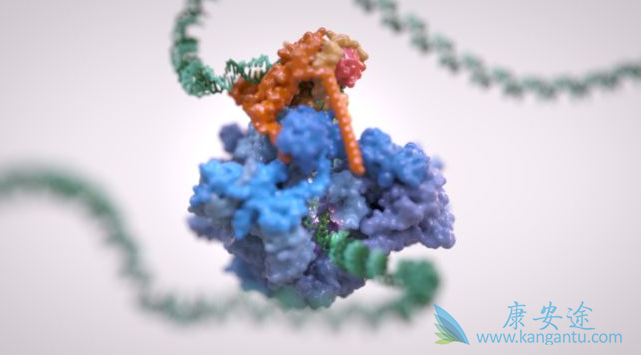 治疗乙肝;替诺福韦 治疗乙肝;替诺福韦