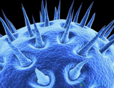 �Ҹ����԰���ձ��ܿ����Ҹ��Ƿ���Ҫ�������Ҹβ������������