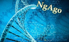 ��ô���Ҹ����԰���ձ��ж��Ƿ���Ҫ�����ҸΣ�