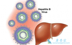 �Ҹ�С�����ι���������Ҫ������������