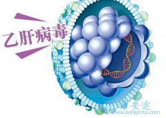 �Ҹα��濹����ʲô��˼���Ҹβ�����Ⱦ�Ը���