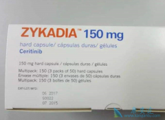 ɫ������(SPEXIB)������֢״����ת�ƻ�����Ч����