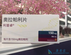 �ѳ��������ǳ԰��������������������ƣ�