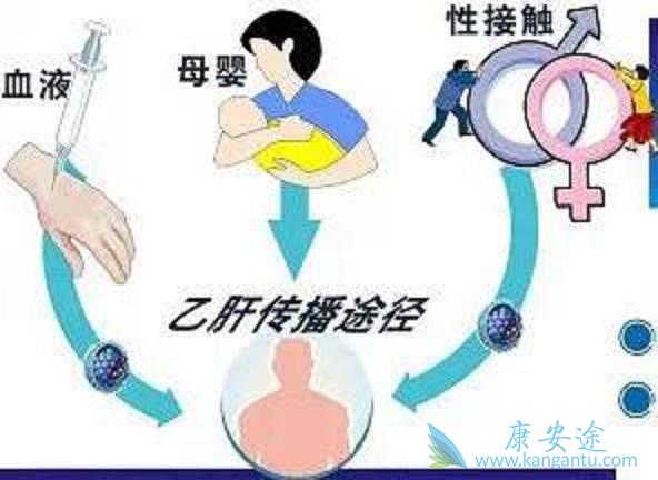 乙肝病毒传播途径 乙肝病毒传播途径