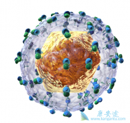 �ɲ�����Щ֢״������֢״����Щ��