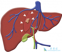 ���Ա��ο��Ա��κ��𣿱��λ���Ӧ��ע��ʲô��