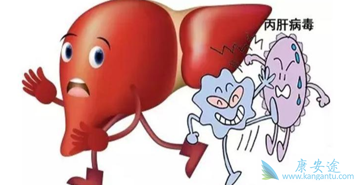 丙肝病毒;丙肝病毒抗体 丙肝病毒;丙肝病毒抗体