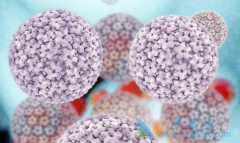 ��Ⱦ���β�����ô�죿���ο���������