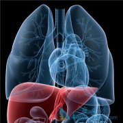 �Ҹ�ת�������غ��Ҹδ�ȾԴ����Щ��