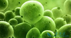 ��Ⱦ�Ҹβ�����ô�죿�Ҹα��濹��������ʲô��˼��