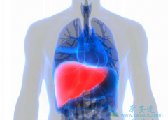 ����֢״����Щ����Ӳ��������