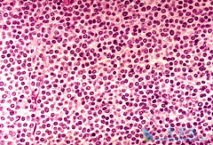 ������ܰ�ϸ��Ϊ���ͻ�����ܰ�����ôѡ�����Ʒ�����