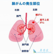 �ΰ�������ô���ƣ��ΰ�����һ����ʲô��ʽ��