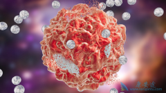 ��������Կ���������ҩ������ѧ��Ӱ��