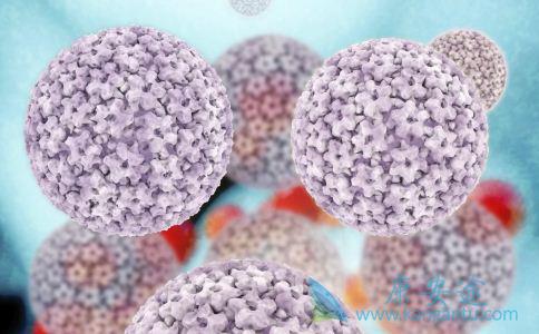 丙型肝炎病毒 丙型肝炎病毒