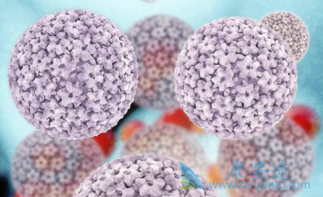 丙肝治疗;丙肝病毒 丙肝治疗;丙肝病毒