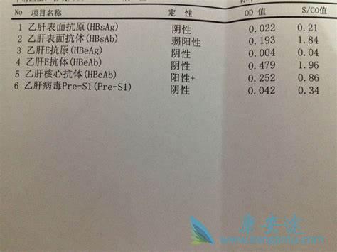 乙肝表面抗体阳性 乙肝表面抗体阳性
