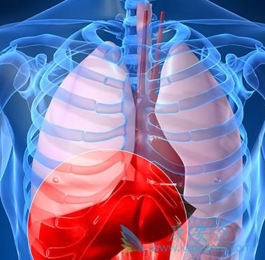 恩替卡韦;替诺福韦 恩替卡韦;替诺福韦