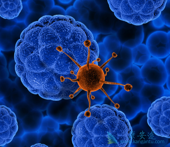 丙肝病毒抗体 丙肝病毒抗体