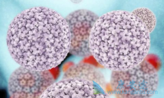 ��Ⱦ���β�����ô�죿ʲô�����������Ʊ��Σ�