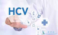 ���͸��ײ�����ʲô��HCV�Ĵ���;������Щ��