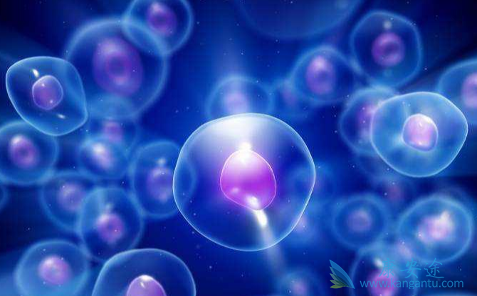 细胞因子风暴 细胞因子风暴