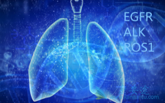 �ΰ�EGFR�е�ͻ��֮����ô��������������������Щ������