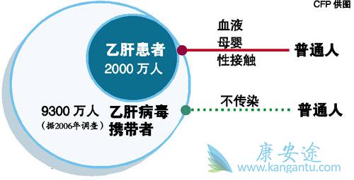 乙肝病毒携带者 乙肝病毒携带者