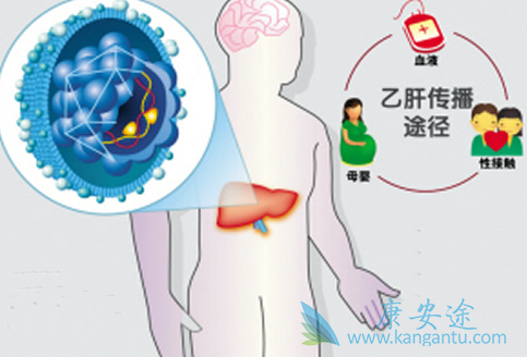 乙肝两对半对照表;乙肝病毒 乙肝两对半对照表;乙肝病毒