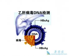 �Ҹβ����Ĵ���;����ʲô����Ӥ�����ķ�ʽ��ʲô��