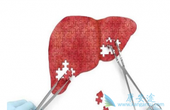 ���͸��ײ���������Ҫ������������