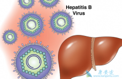 �Ҹδ�����������ʲô֢״����ô�����������