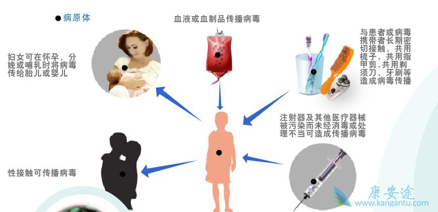 乙肝病毒传播 乙肝病毒传播