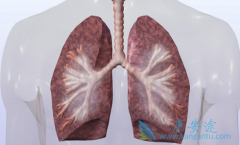 �ΰ������ܻ��ã���Сϸ���ΰ����������Ƕ��٣�