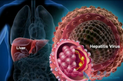 ������ػ����Ҹα��濹��������