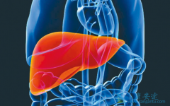 �Ҹδ��������Ҹο��������Ի������ԣ�