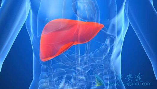 乙肝转阴 乙肝转阴