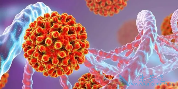 两对半对照表;小三阳 两对半对照表;小三阳