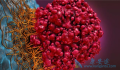 Ϊʲô��ͯ����������Ч���ȳ��˺ã�