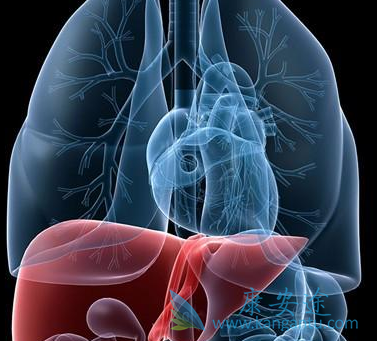 抗乙肝病毒;乙肝病毒 抗乙肝病毒;乙肝病毒