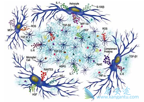 细胞因子风暴是什么意思? 细胞因子风暴是什么意思?
