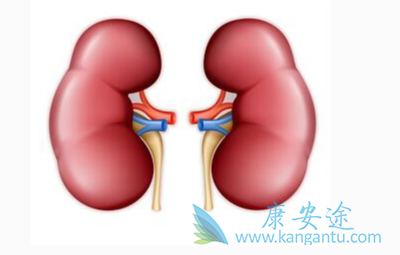 肾癌转移;恶性肿瘤 肾癌转移;恶性肿瘤