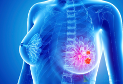 ˫����ο�Ԥ���ڷ�������ҩ������Ĺ�������